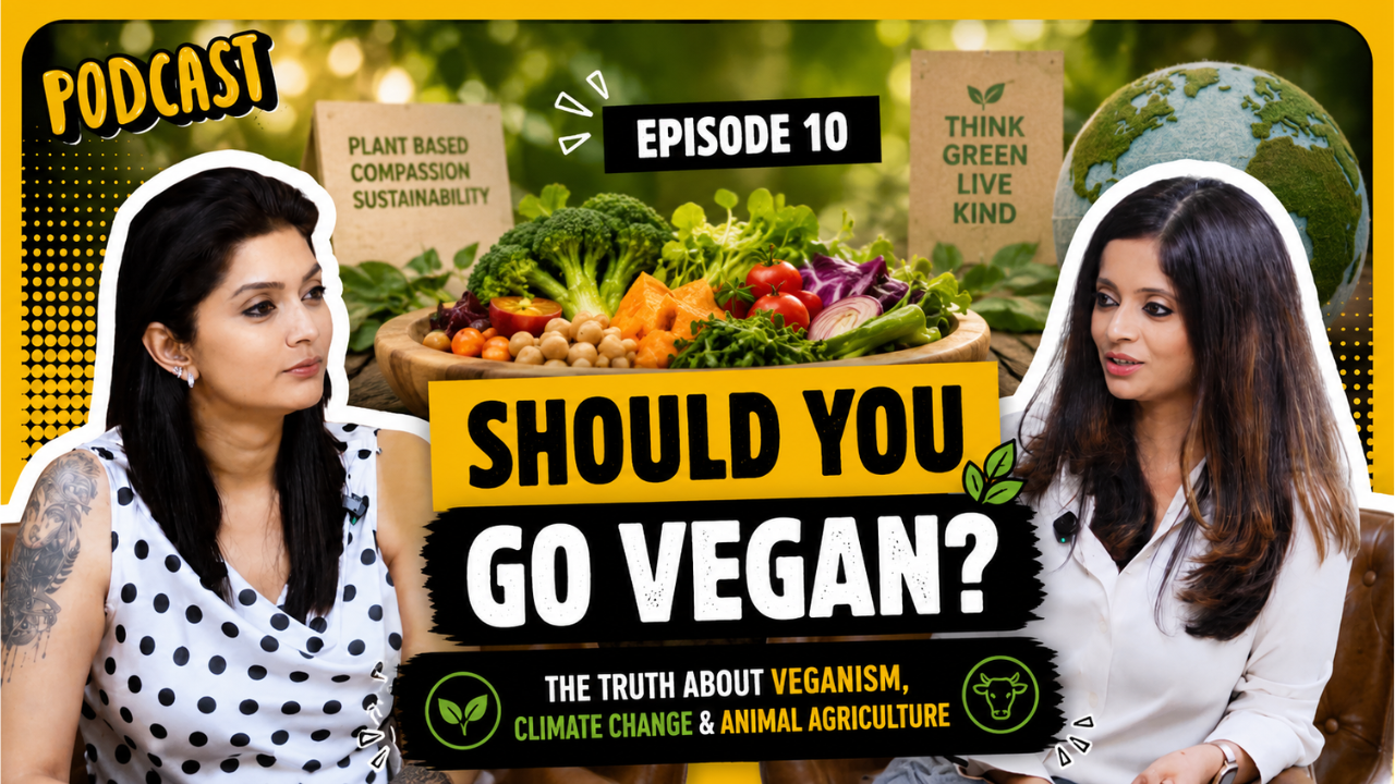 Should You Go Vegan? The Truth About Veganism, Climate Change & Animal Agriculture